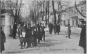 087_IIaleja_1920.jpg
