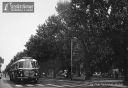 802_autobus_w_alejach.jpg