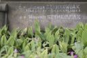 DSC00500.JPG