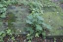 DSC00511.JPG