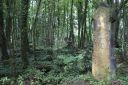 DSC00595.JPG