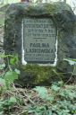 DSC00609.JPG