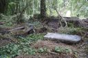 DSC00619.JPG