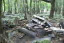 DSC00625.JPG