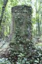 DSC00640.JPG