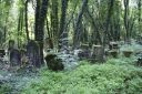 DSC00645.JPG