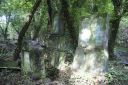 DSC00650.JPG