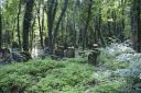 DSC00651.JPG