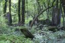 DSC00656.JPG