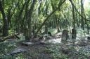 DSC00663.JPG