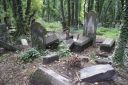 DSC00668.JPG