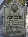 Nazwa pliku=DSC00789.JPG
Wielkość pliku=138KiB
Rozmiar=765x999
Data dodania= 25, Październik 2012 DSC00789.JPG