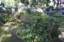 DSC00813.JPG