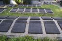 DSC00827.JPG